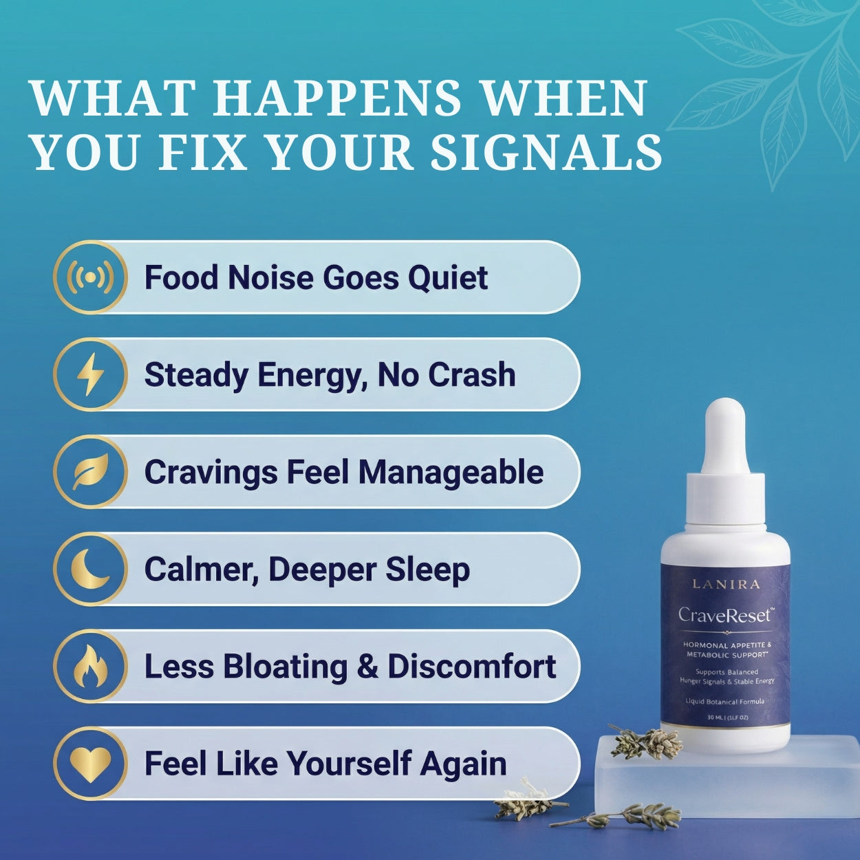 Lanira CraveReset™️